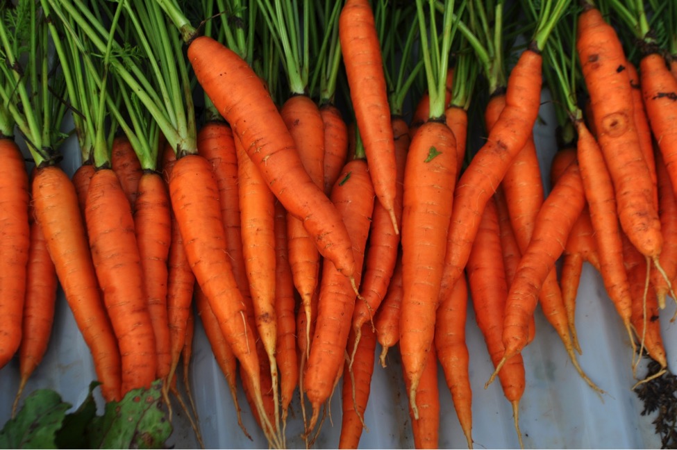 Do Carrots Actually Improve Vision?
