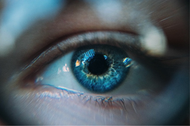 Why Did Blue Eyes Evolve?