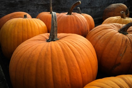 What Can Pumpkins Do for Your Eyes?